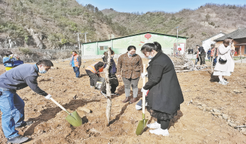 全民動員植樹造林 建設(shè)秦嶺山水鄉(xiāng)村