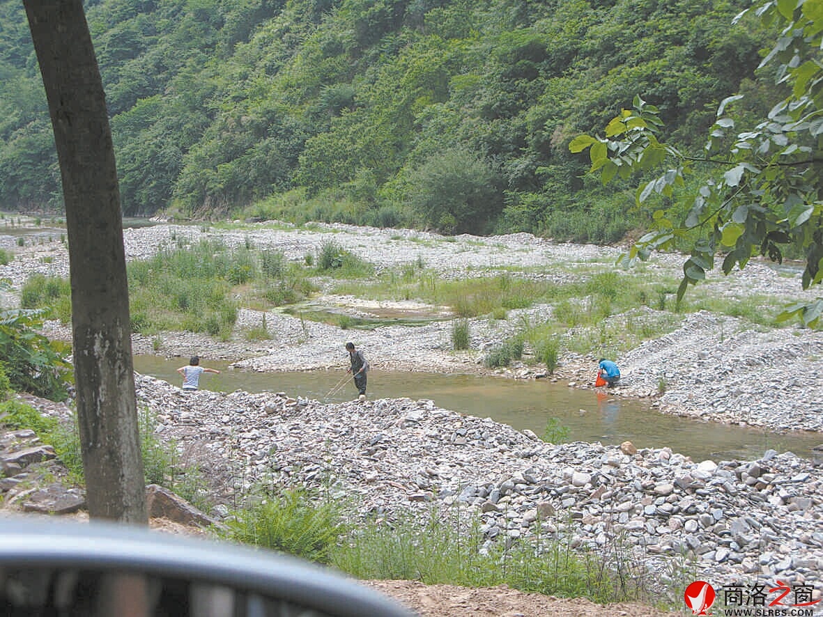 6月2日，柞水杏坪鎮(zhèn)金口村不到十里的河道電魚的就有四伙人