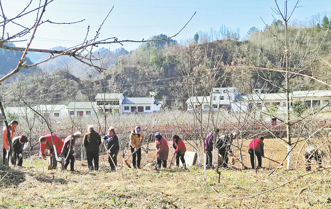 丹鳳縣鐵峪鋪鎮(zhèn)全力推進“兩拆一提升”“兩邊一補齊”工作