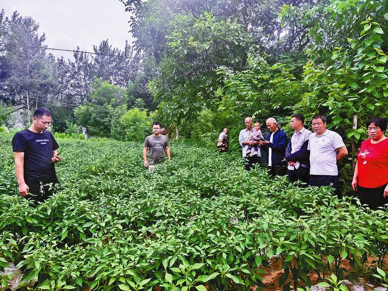 一位新時代菜農(nóng)的致富密碼