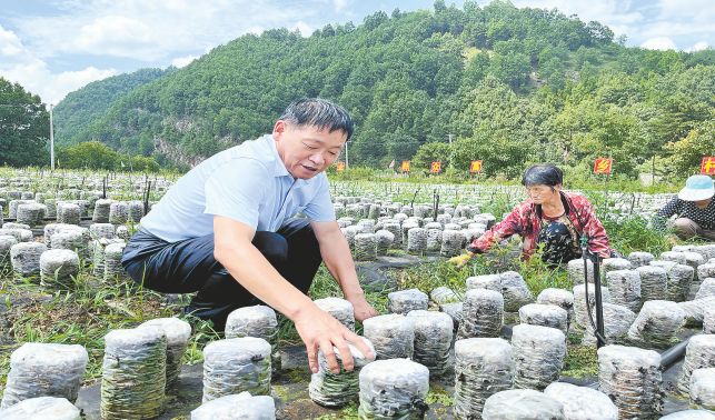 頭雁領飛春滿堂