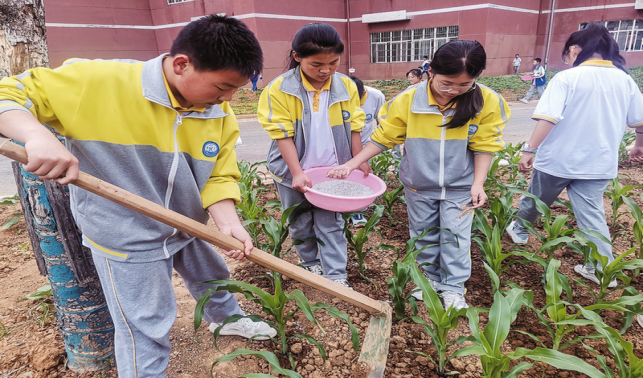 讓每一個(gè)孩子茁壯成長(zhǎng)