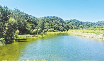 商南 建設(shè)秦嶺山水鄉(xiāng)村 打造生態(tài)宜居家園