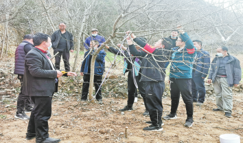 “土專家”傳經(jīng)送寶到地頭