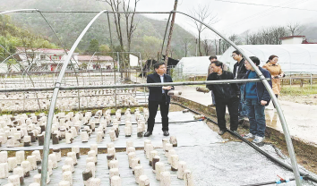 西口回族鎮(zhèn)積極推進(jìn)春耕備耕