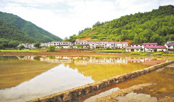 西川村 一個稻花飄香的地方