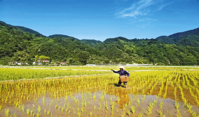 西川村 一川山水靚四季