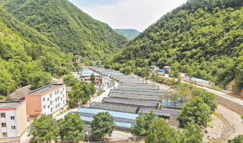 秦嶺閨秀 康養(yǎng)柞水